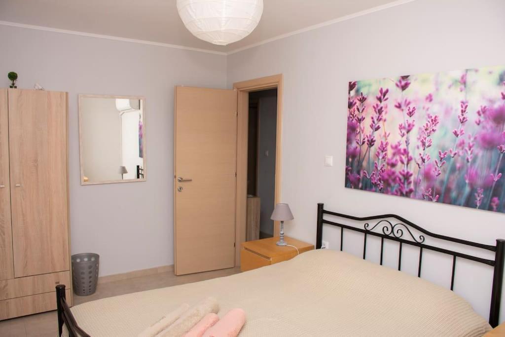 Anadora 2: Hospitable Stone House With Yard Διαμέρισμα Αλεξανδρούπολη Εξωτερικό φωτογραφία